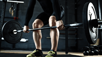 The Gym Fitness